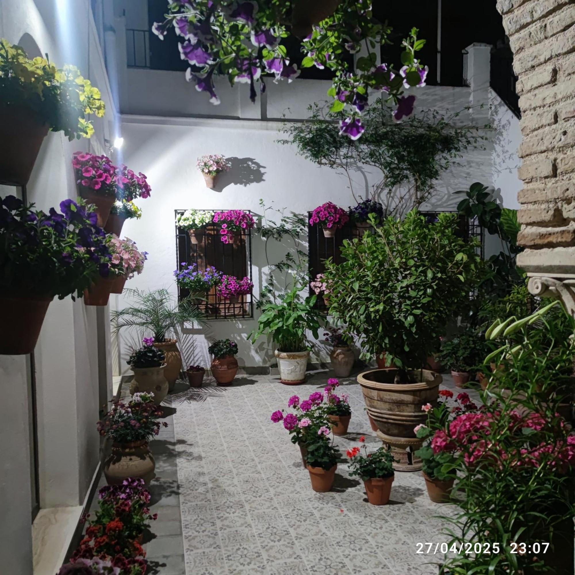 El Patio De Regina Apartment Cordoba Luaran gambar