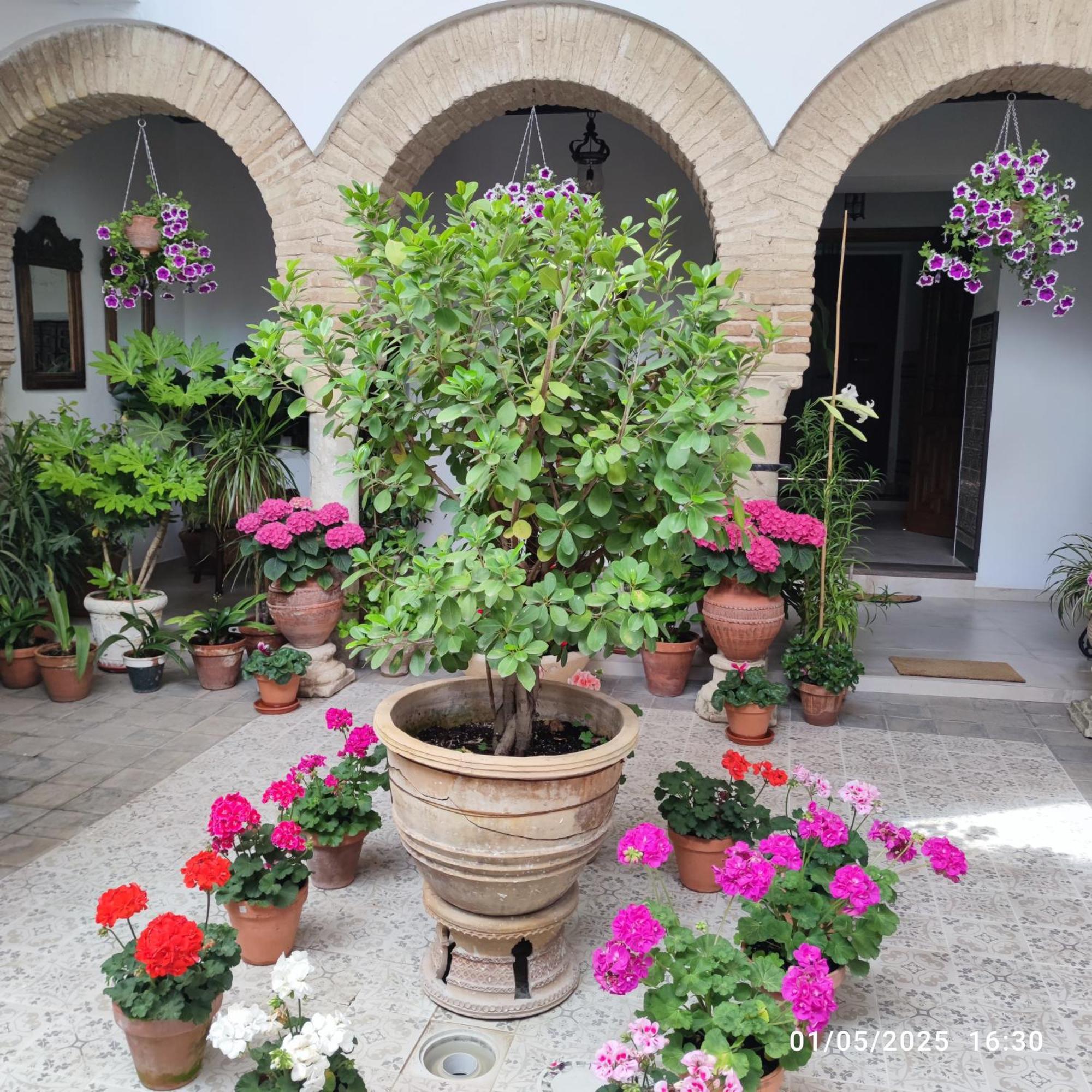 El Patio De Regina Apartment Cordoba Luaran gambar