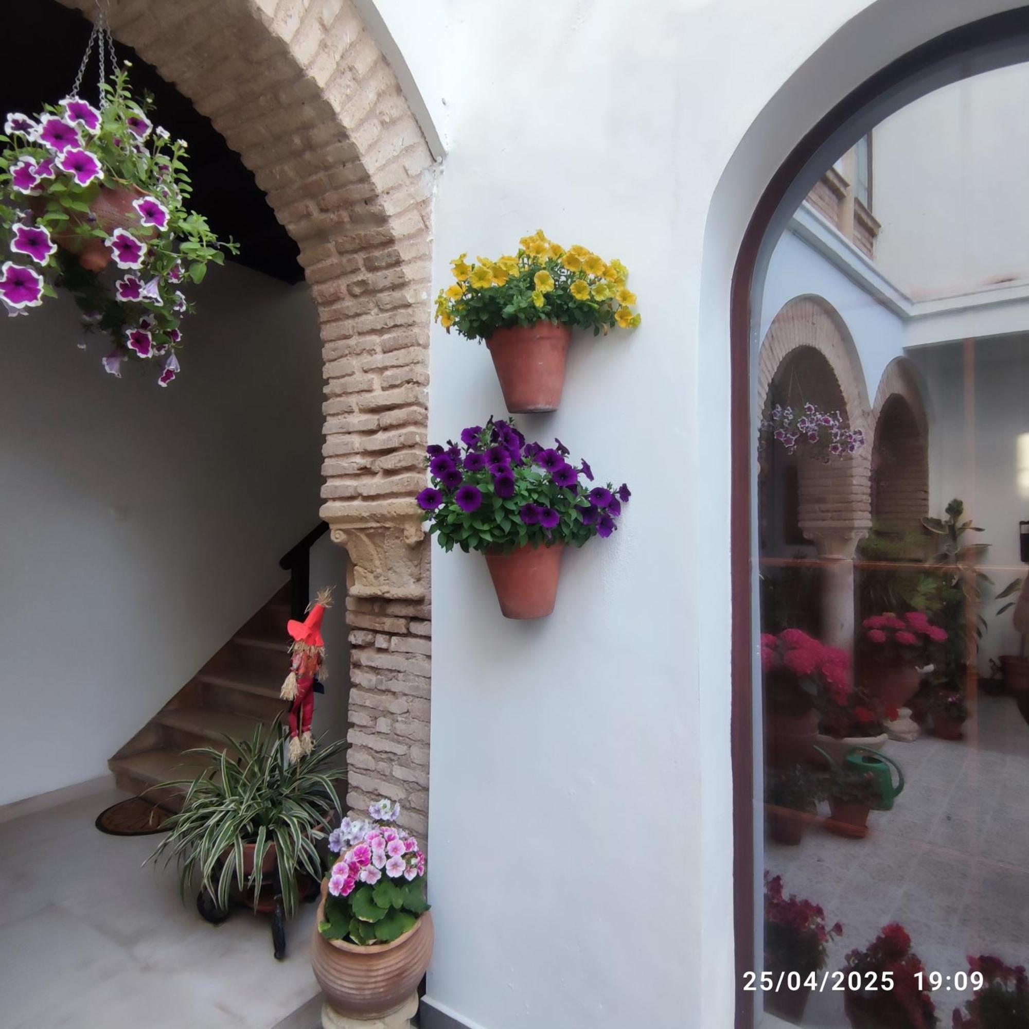 El Patio De Regina Apartment Cordoba Luaran gambar