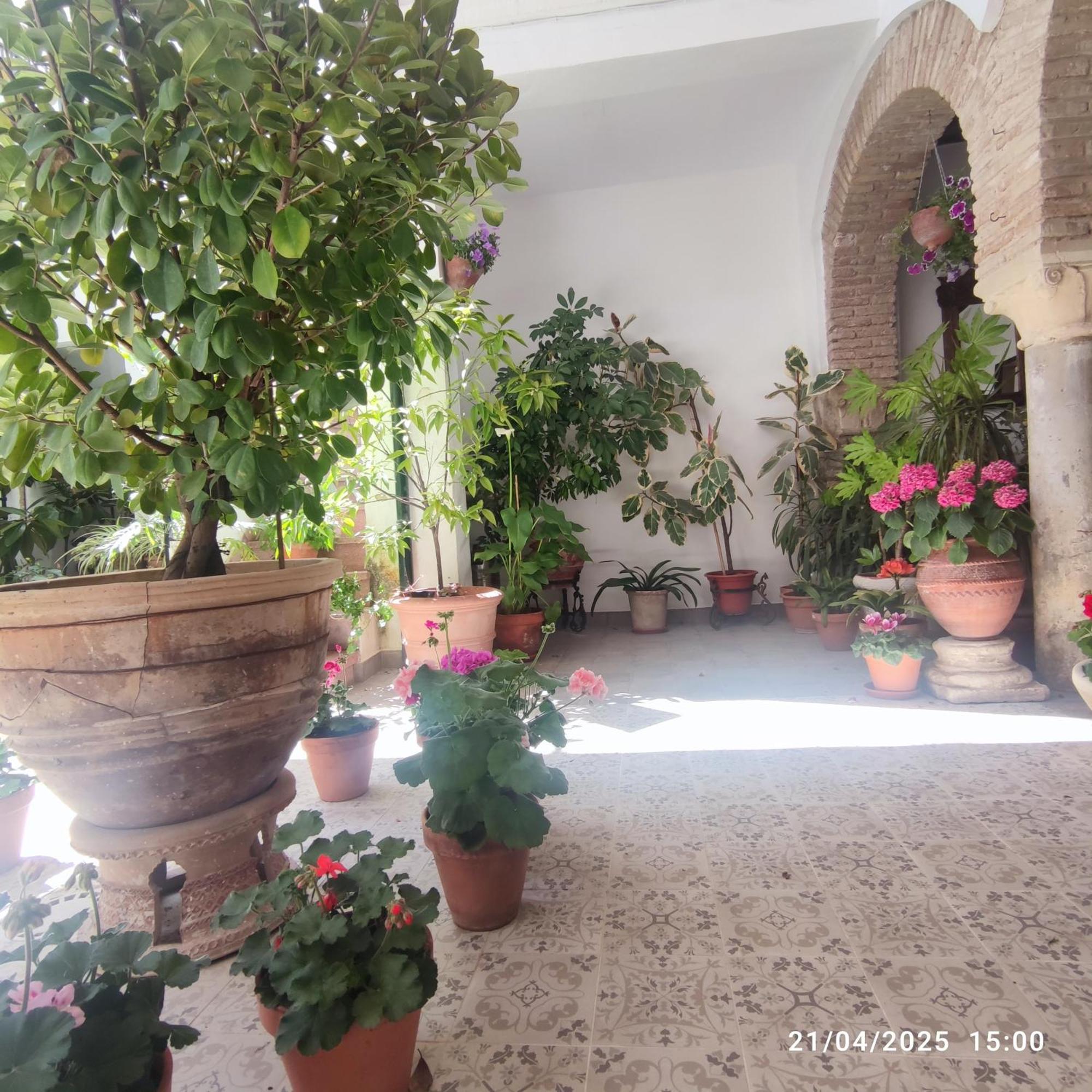 El Patio De Regina Apartment Cordoba Luaran gambar