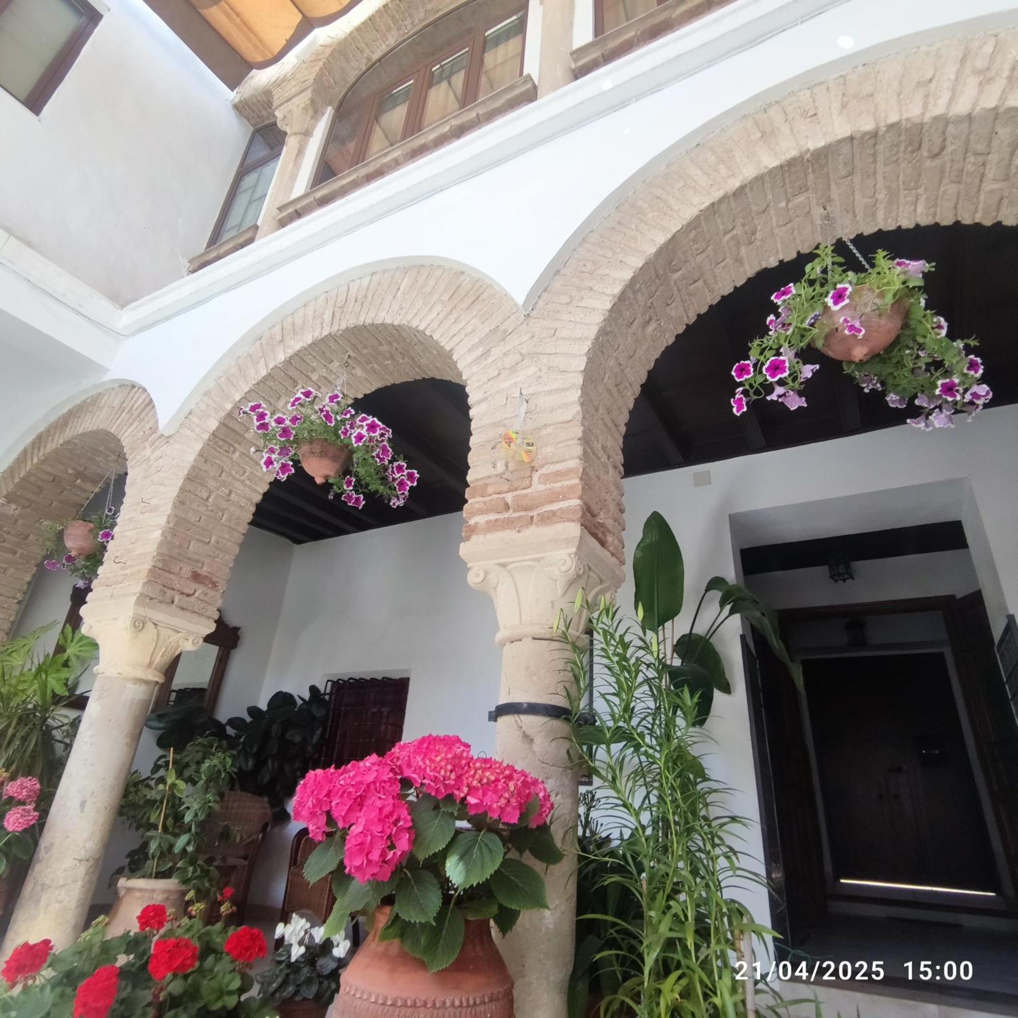 El Patio De Regina Apartment Cordoba Luaran gambar